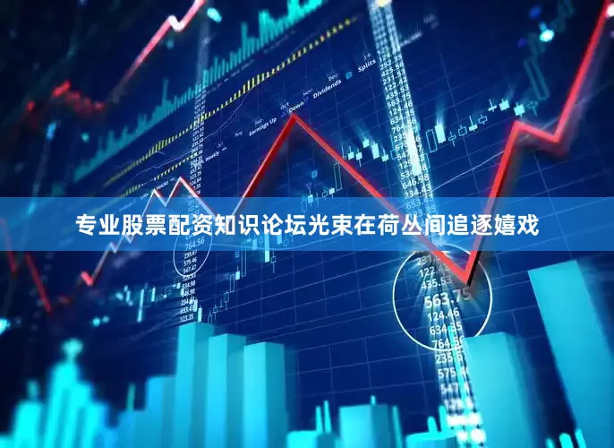 专业股票配资知识论坛光束在荷丛间追逐嬉戏