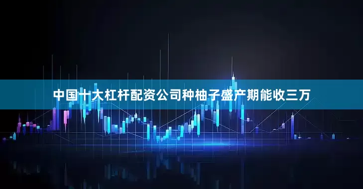 中国十大杠杆配资公司种柚子盛产期能收三万